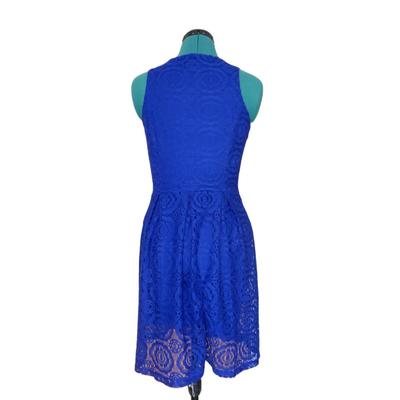 Blue Dress 8