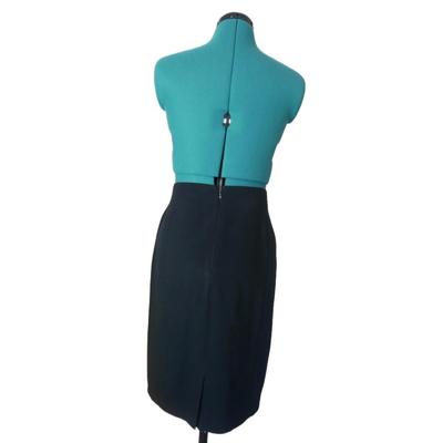 Ann Taylor Pencil Skirt 10