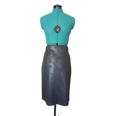 NEW Faux Leather Lena Gabrielle Skirt 10