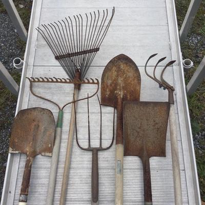1493 Lot of Garden Lot Tools
