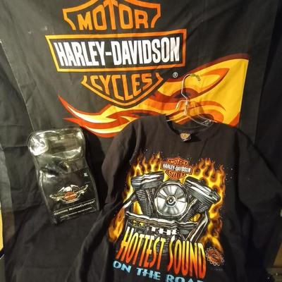 AUTHENTIC HARLEY DAVIDSON HEATED GLOVES-TSHIRT AND PILLOW SHAM