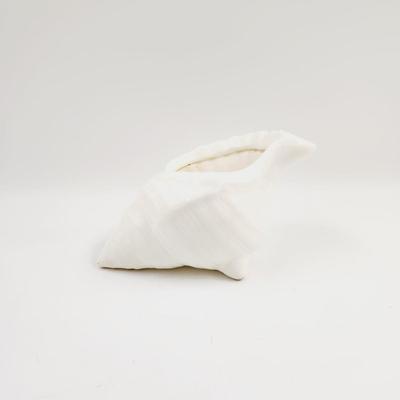 VINTAGE HAND CREATED CONCH SHELL DECOR