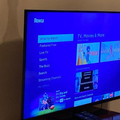 Visio HD 48" Smart TV