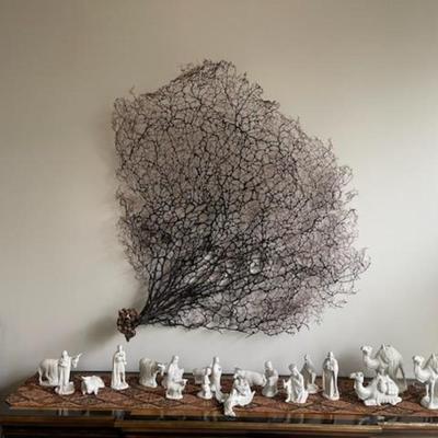 Giant Natural Dried Black Sea Fan Coral