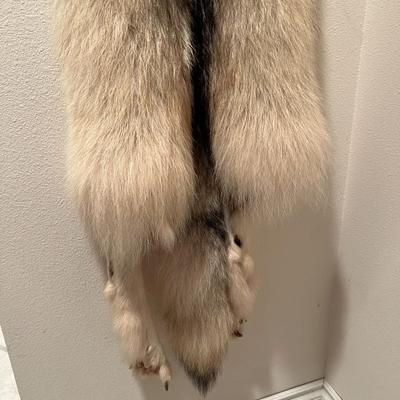 Genuine Arctic Wolf Fur Hide and Claws Tanned by International Fur Dressers & Dyers