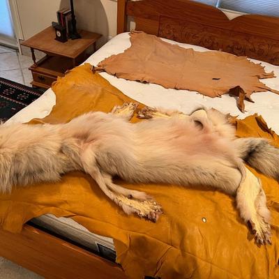 Genuine Arctic Wolf Fur Hide and Claws Tanned by International Fur Dressers & Dyers