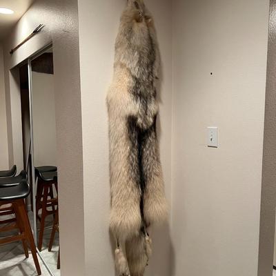 Genuine Arctic Wolf Fur Hide and Claws Tanned by International Fur Dressers & Dyers