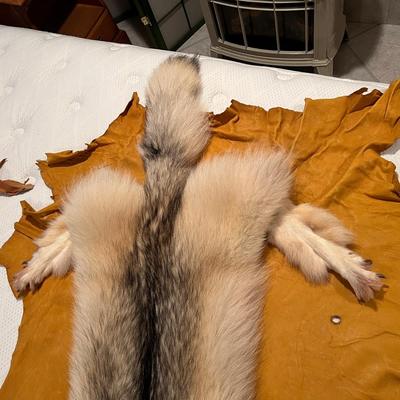Genuine Arctic Wolf Fur Hide and Claws Tanned by International Fur Dressers & Dyers