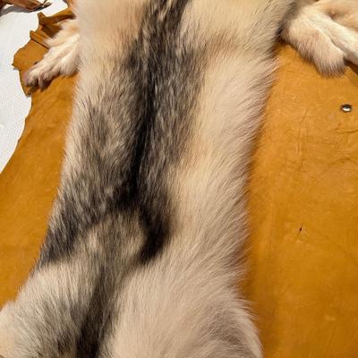 Genuine Arctic Wolf Fur Hide and Claws Tanned by International Fur Dressers & Dyers