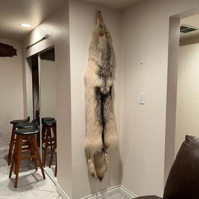 Genuine Arctic Wolf Fur Hide and Claws Tanned by International Fur Dressers & Dyers
