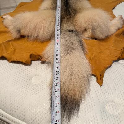 Genuine Arctic Wolf Fur Hide and Claws Tanned by International Fur Dressers & Dyers