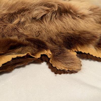 Genuine Brown Bear Fur Hide Rug with Teeth Tanned Taxidermy