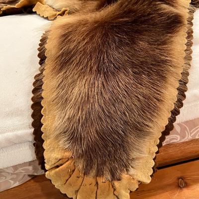 Genuine Brown Bear Fur Hide Rug with Teeth Tanned Taxidermy