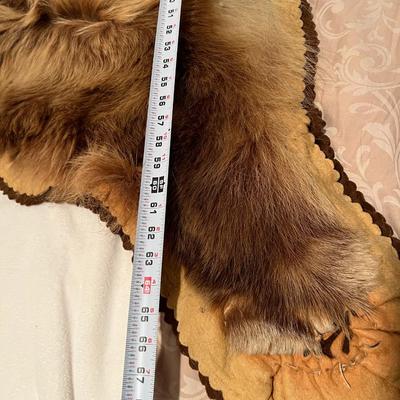 Genuine Brown Bear Fur Hide Rug with Teeth Tanned Taxidermy