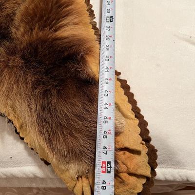 Genuine Brown Bear Fur Hide Rug with Teeth Tanned Taxidermy