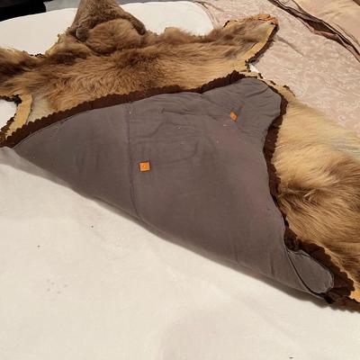 Genuine Brown Bear Fur Hide Rug with Teeth Tanned Taxidermy