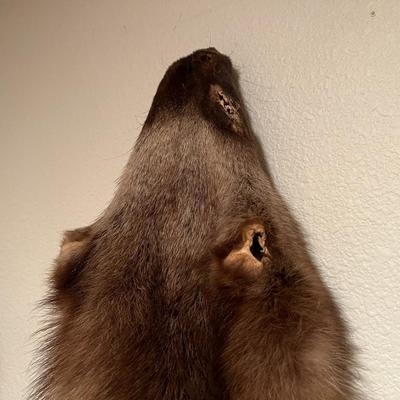 Lot of 3 Genuine Tanned Furs incl. Wolverine Otter and Arctic Fox