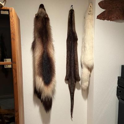 Lot of 3 Genuine Tanned Furs incl. Wolverine Otter and Arctic Fox