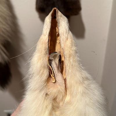 Lot of 3 Genuine Tanned Furs incl. Wolverine Otter and Arctic Fox