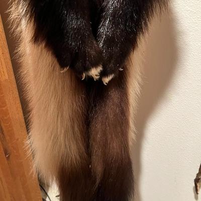 Lot of 3 Genuine Tanned Furs incl. Wolverine Otter and Arctic Fox