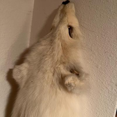Lot of 3 Genuine Tanned Furs incl. Wolverine Otter and Arctic Fox