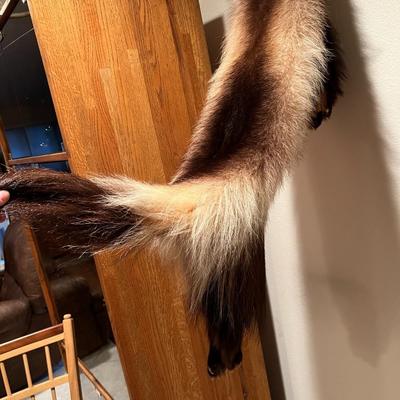 Lot of 3 Genuine Tanned Furs incl. Wolverine Otter and Arctic Fox