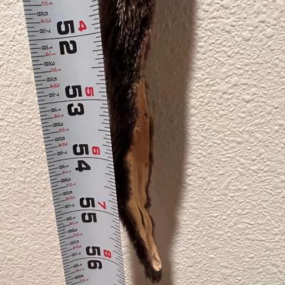 Lot of 3 Genuine Tanned Furs incl. Wolverine Otter and Arctic Fox