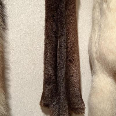 Lot of 3 Genuine Tanned Furs incl. Wolverine Otter and Arctic Fox