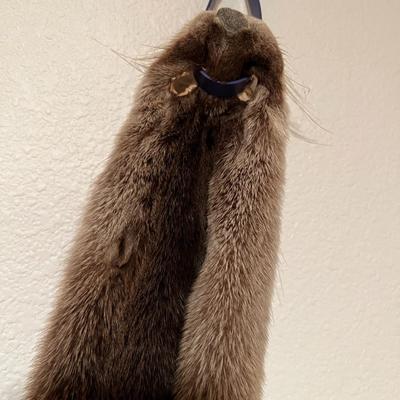 Lot of 3 Genuine Tanned Furs incl. Wolverine Otter and Arctic Fox