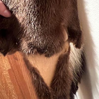 Lot of 3 Genuine Tanned Furs incl. Wolverine Otter and Arctic Fox