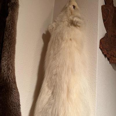 Lot of 3 Genuine Tanned Furs incl. Wolverine Otter and Arctic Fox