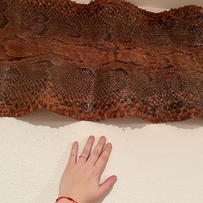 Huge 13 Ft Genuine Snake Skin Antique Leather Taxidermy