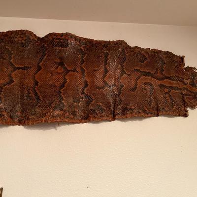 Huge 13 Ft Genuine Snake Skin Antique Leather Taxidermy