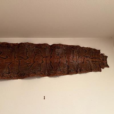 Huge 13 Ft Genuine Snake Skin Antique Leather Taxidermy