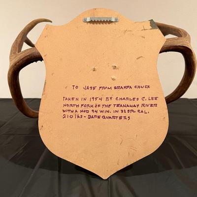 Vintage Mounted 3 Point Antlers