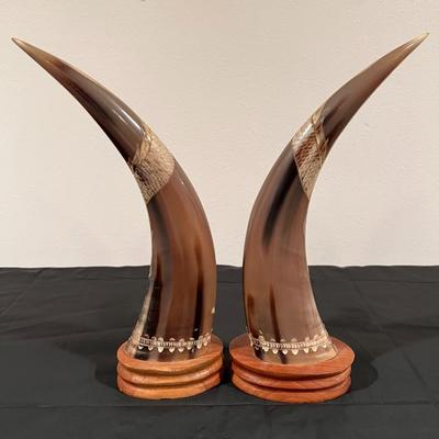 Pair of Carved Water Buffalo Horns with Dragon Design