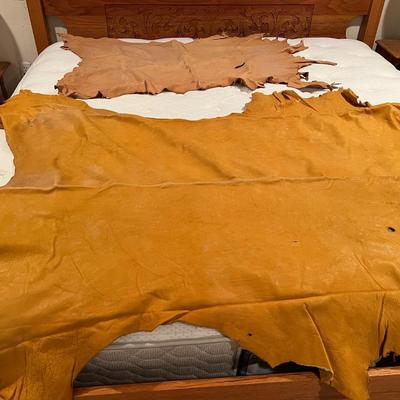 Lot of 2 Vintage Tanned Leather Hides incl. Bull Elk