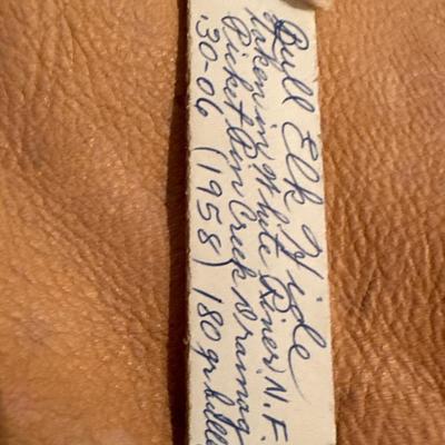 Lot of 2 Vintage Tanned Leather Hides incl. Bull Elk