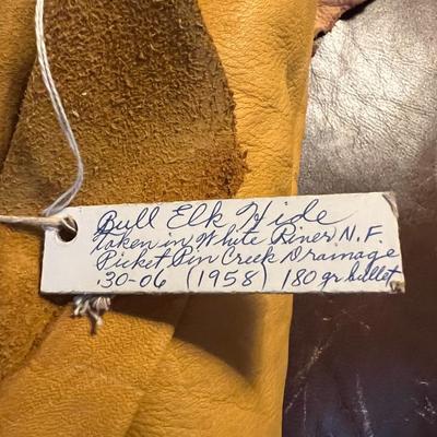 Lot of 2 Vintage Tanned Leather Hides incl. Bull Elk
