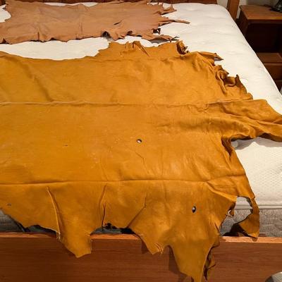 Lot of 2 Vintage Tanned Leather Hides incl. Bull Elk
