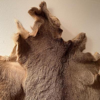 Vintage Tanned Taxidermy Deer Fur Hide Leather