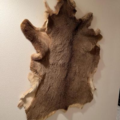 Vintage Tanned Taxidermy Deer Fur Hide Leather