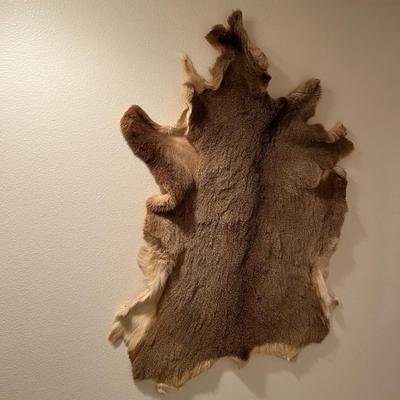 Vintage Tanned Taxidermy Deer Fur Hide Leather