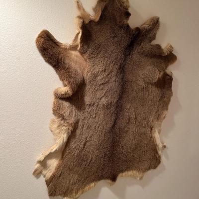 Vintage Tanned Taxidermy Deer Fur Hide Leather