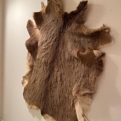 Vintage Tanned Taxidermy Deer Fur Hide Leather