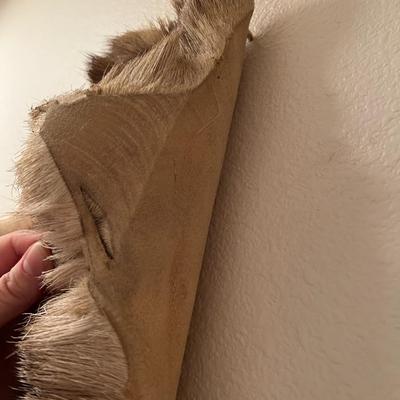Vintage Tanned Taxidermy Deer Fur Hide Leather