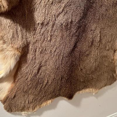 Vintage Tanned Taxidermy Deer Fur Hide Leather