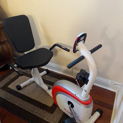 IMPEX magnetic resistance, recumbent stationary bike