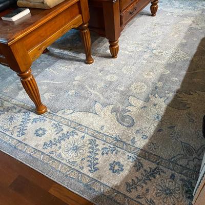 8' x 11' area rug