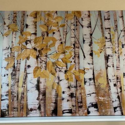 Large Print on canvas of birch trees